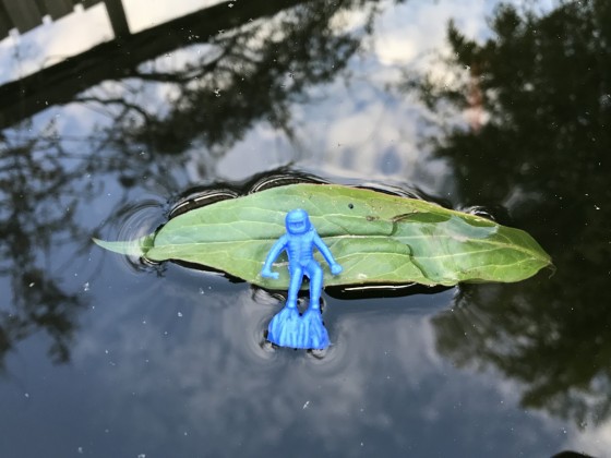 Foto