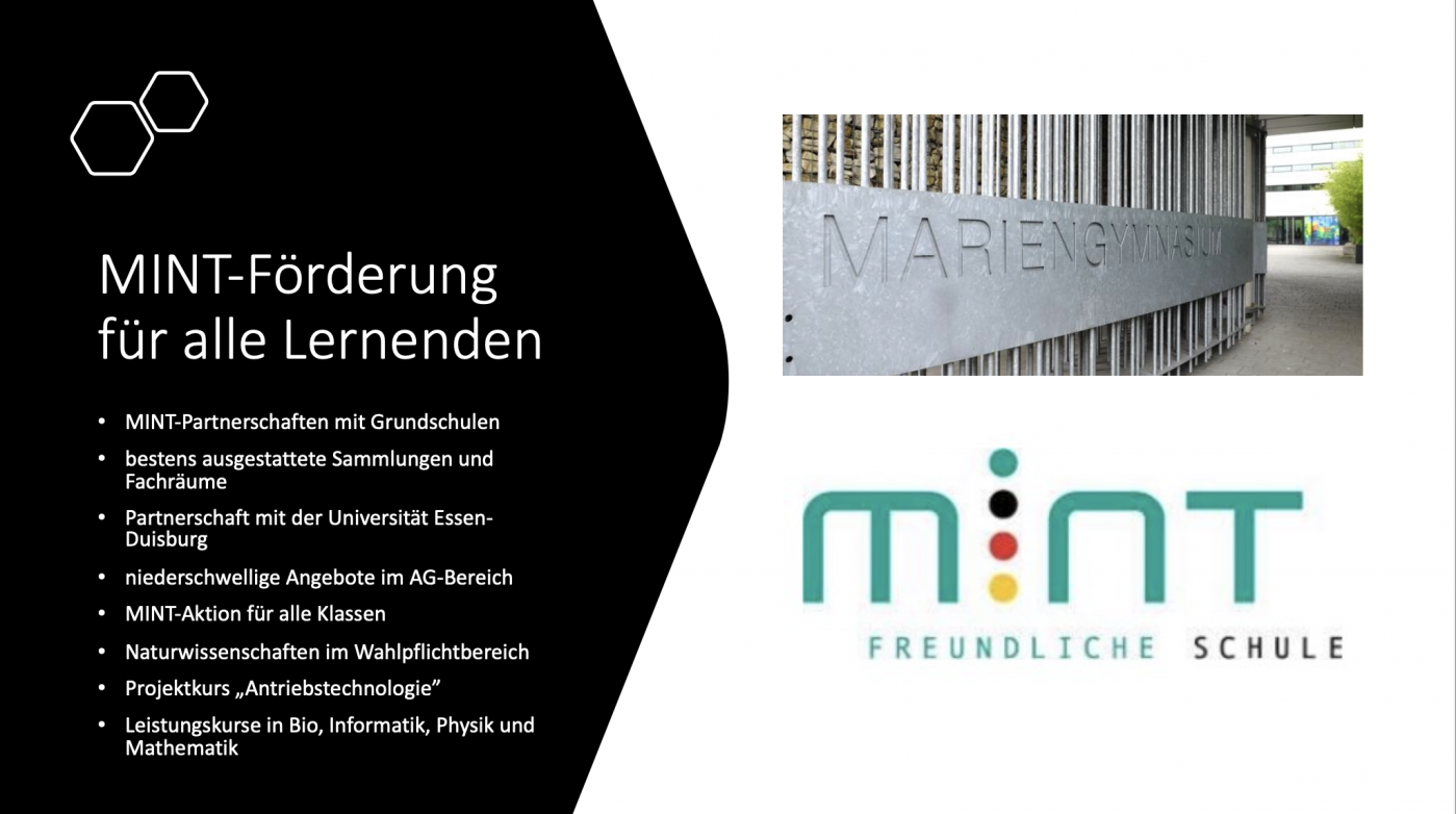 MINT - ein Bereich, der Wissen schafft